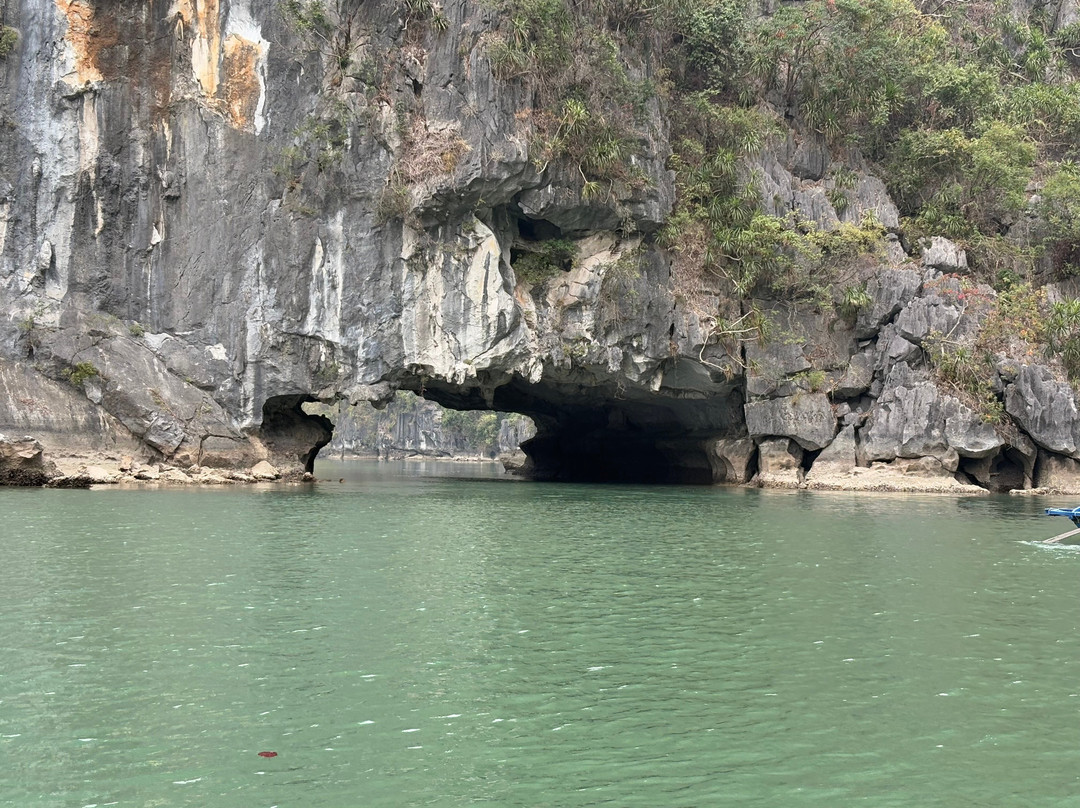 Cua Van Floating Village-下龙湾必去景点
