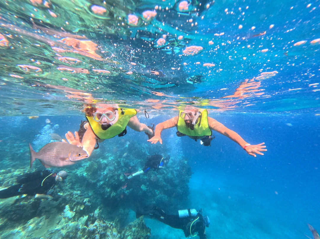 Varadero Diving Tour-Playa Larga必去景点