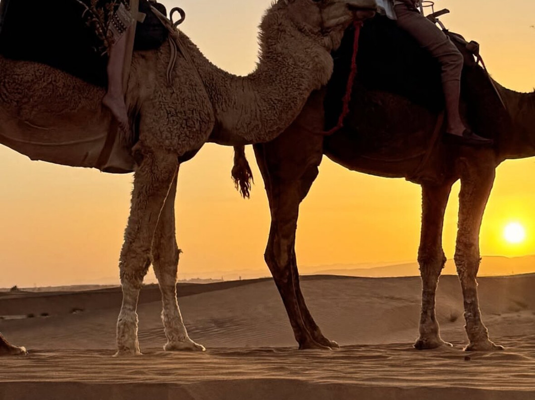 Experience Serenity Sahara-Tagounite必去景点