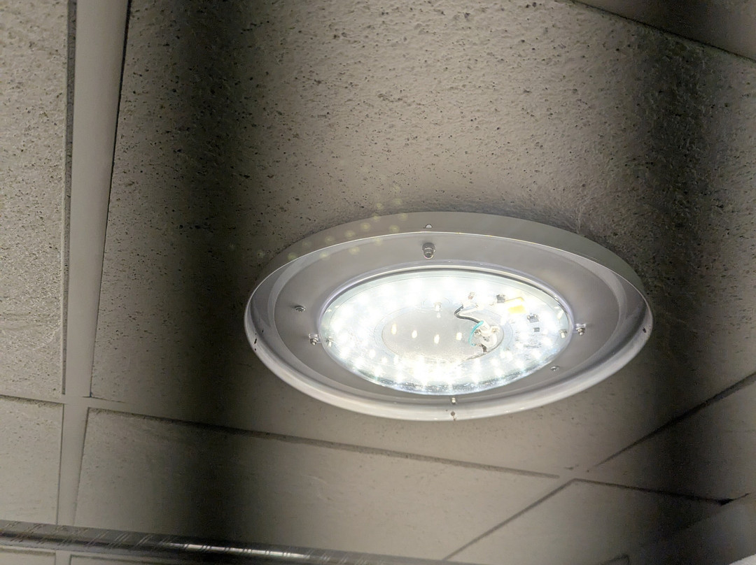 Everspring Inn主图