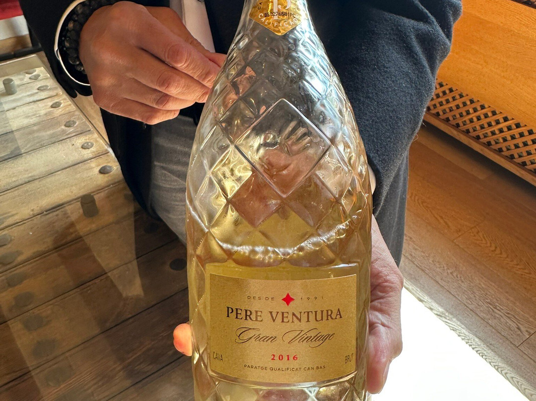 Can Bas Domini Vinicola-Subirats必去景点