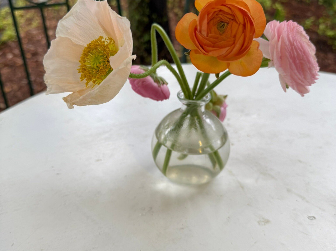 Hibiscus Guesthouse主图