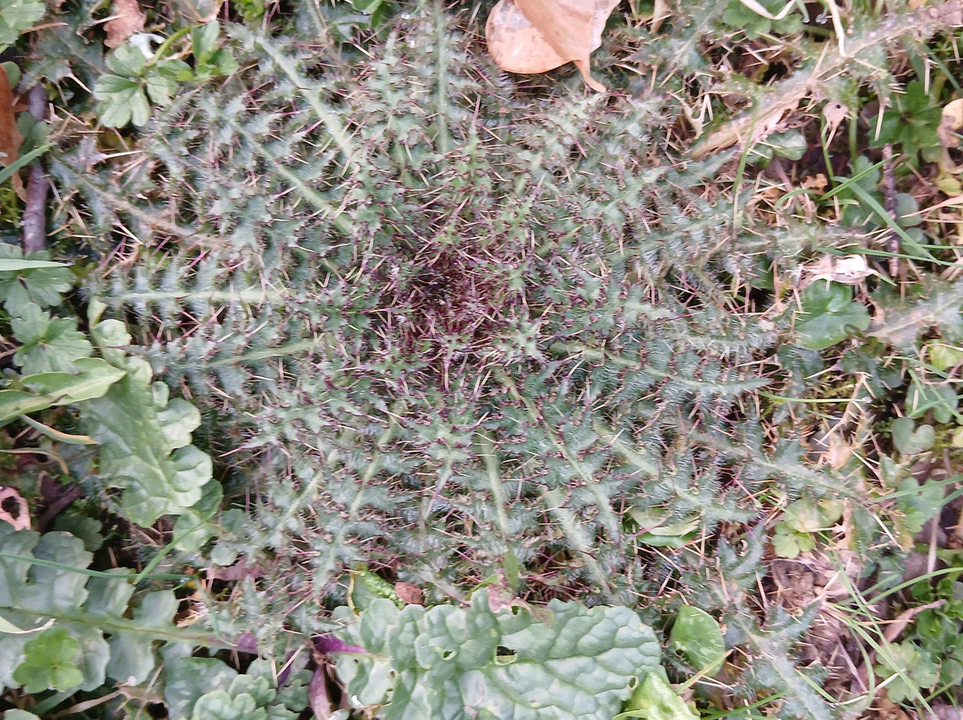 彭伯特布雷恩豪华住宿加早餐酒店主图