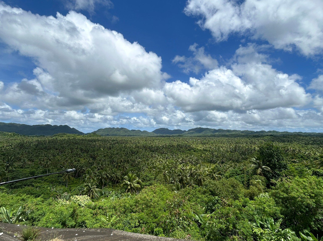 Coconut Trees View Deck景点图片