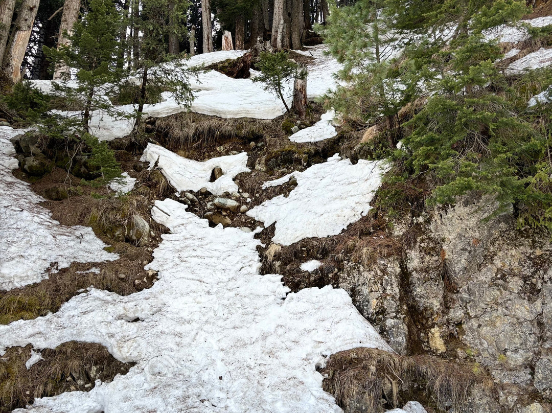 Doodhpathri-斯利那加必去景点