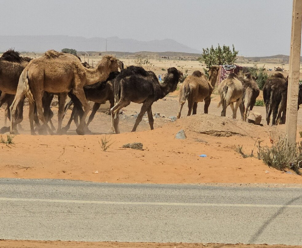 Morocco Exposure-卡萨布兰卡必去景点