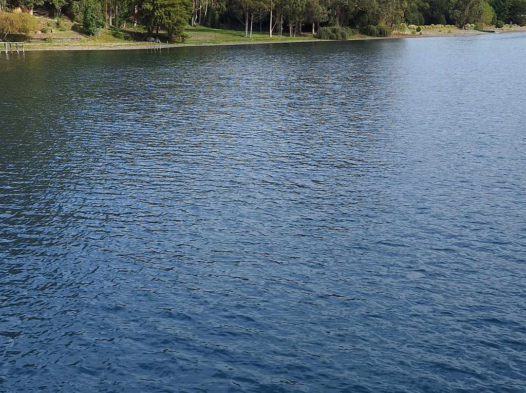 Catamaran Bandurria-Frutillar必去景点