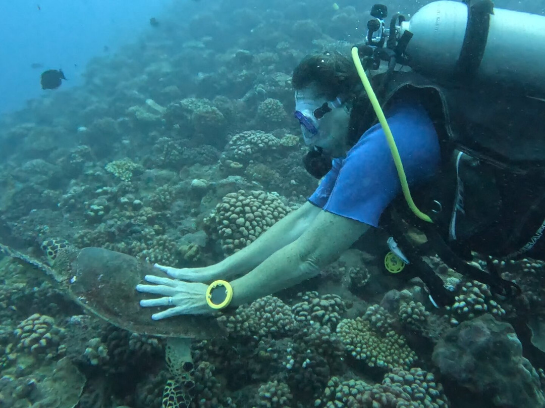 Dive and Sea Tahiti - Base nautique de Puna'auia景点图片