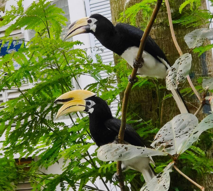 悦乐樟宜酒店主图