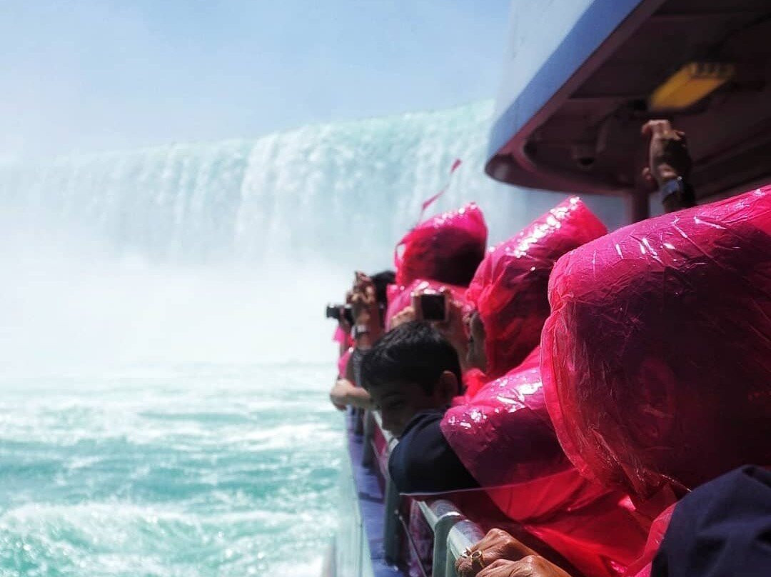 Gray Line Toronto City Tours & Niagara Falls Tours-多伦多必去景点