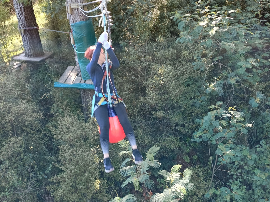Adrenalin Forest景点图片