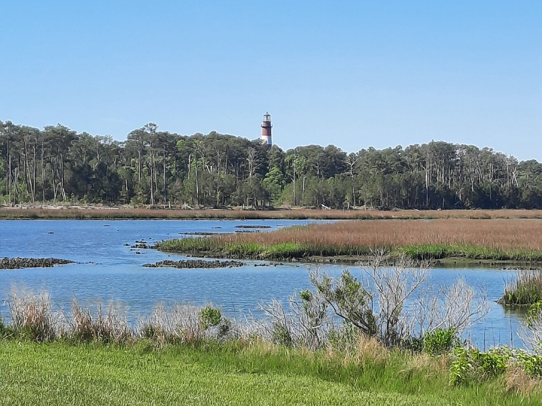 Magical Mystery Bike Tours, LLC-罗阿诺克必去景点