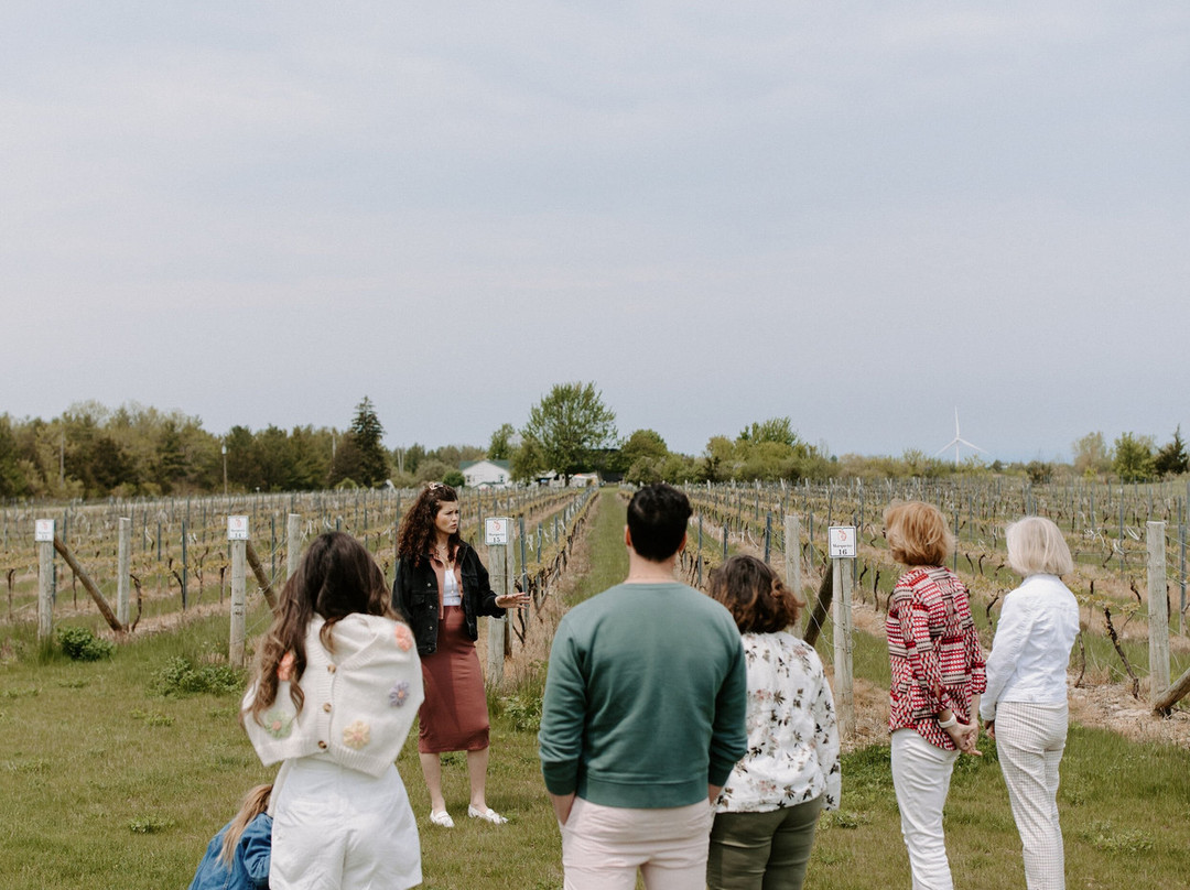 Shale Ridge Estate Winery & Cidery-Thedford必去景点