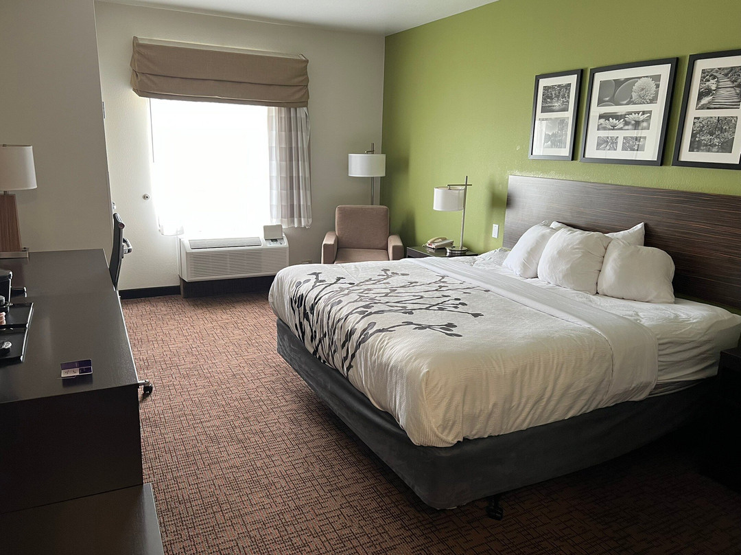 Comfort Inn & Suites主图