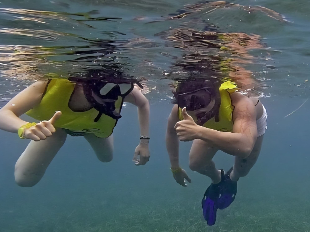 Vieques Snorkel Tours-维切克岛必去景点