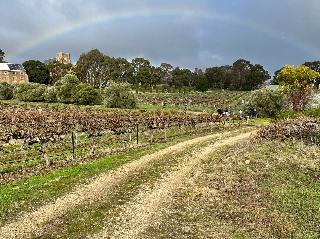 Sevenhill Cellars-克莱尔必去景点