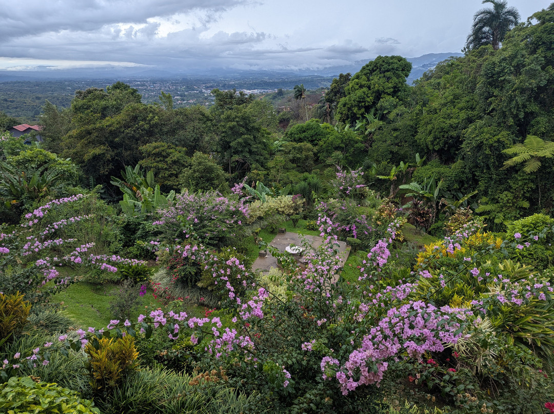 La Princesa Hotel主图