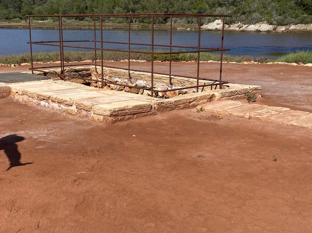 Sal de Menorca - Salinas de La Concepción-Mercadal必去景点