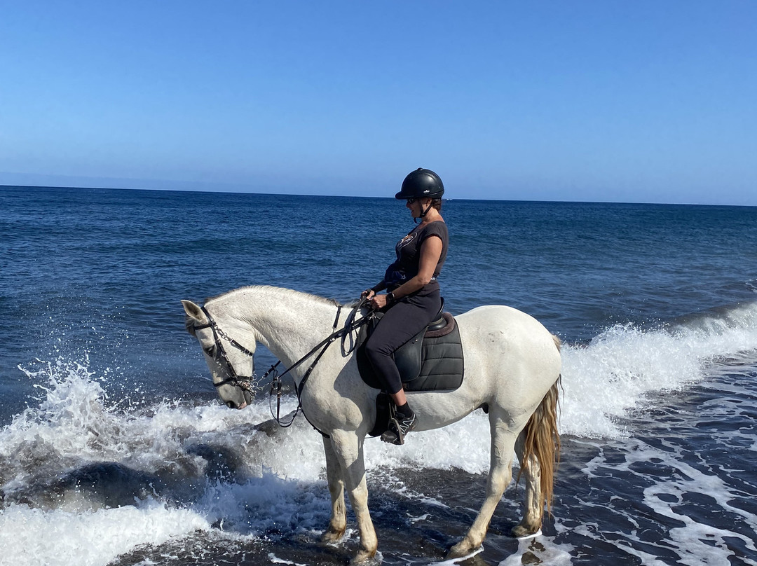 Lanzarote a Caballo景点图片