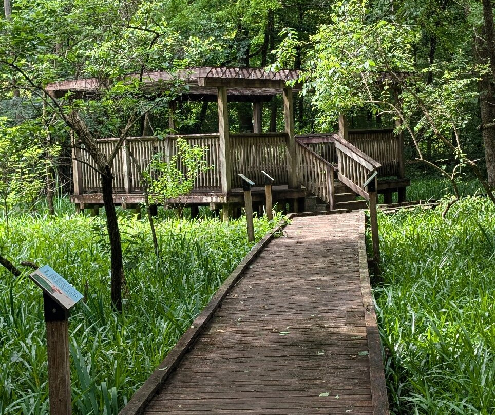 Louisiana State Arboretum景点图片