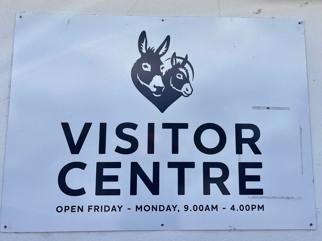 The Donkey Sanctuary-Mallow必去景点
