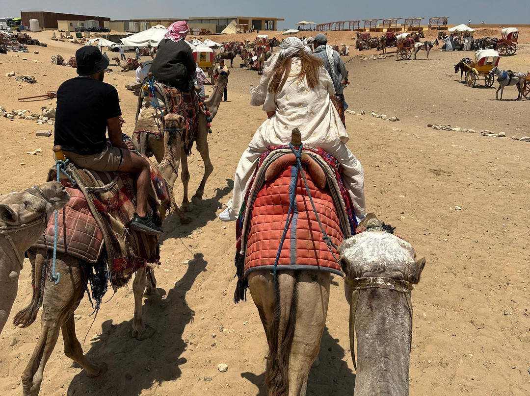 Magic Egypt Tours-吉萨必去景点
