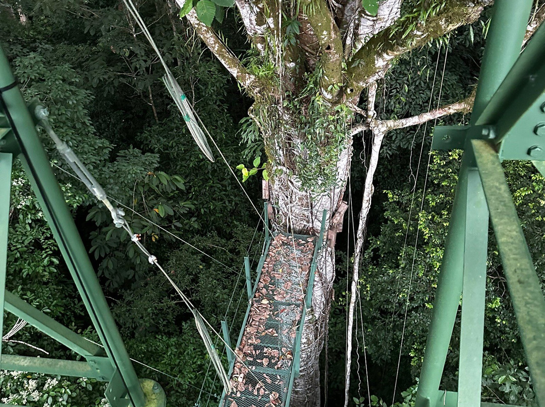 Osa Conservation Campus景点图片