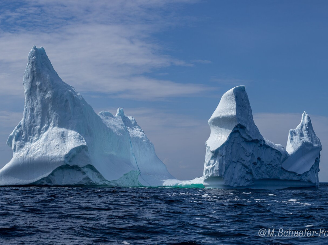 Sea of Whales Adventures景点图片