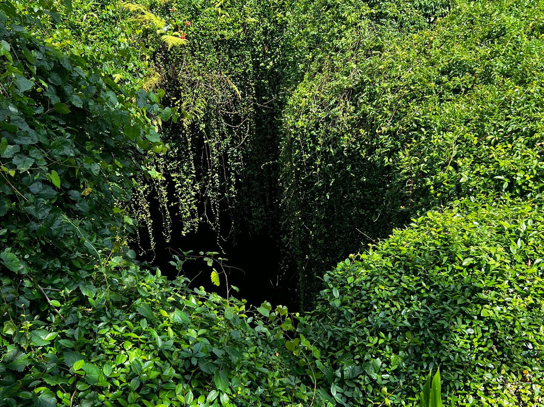 Devil's Den景点图片