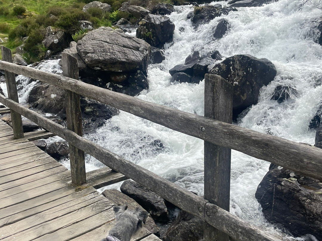 Cwm Idwal National Nature Reserve景点图片