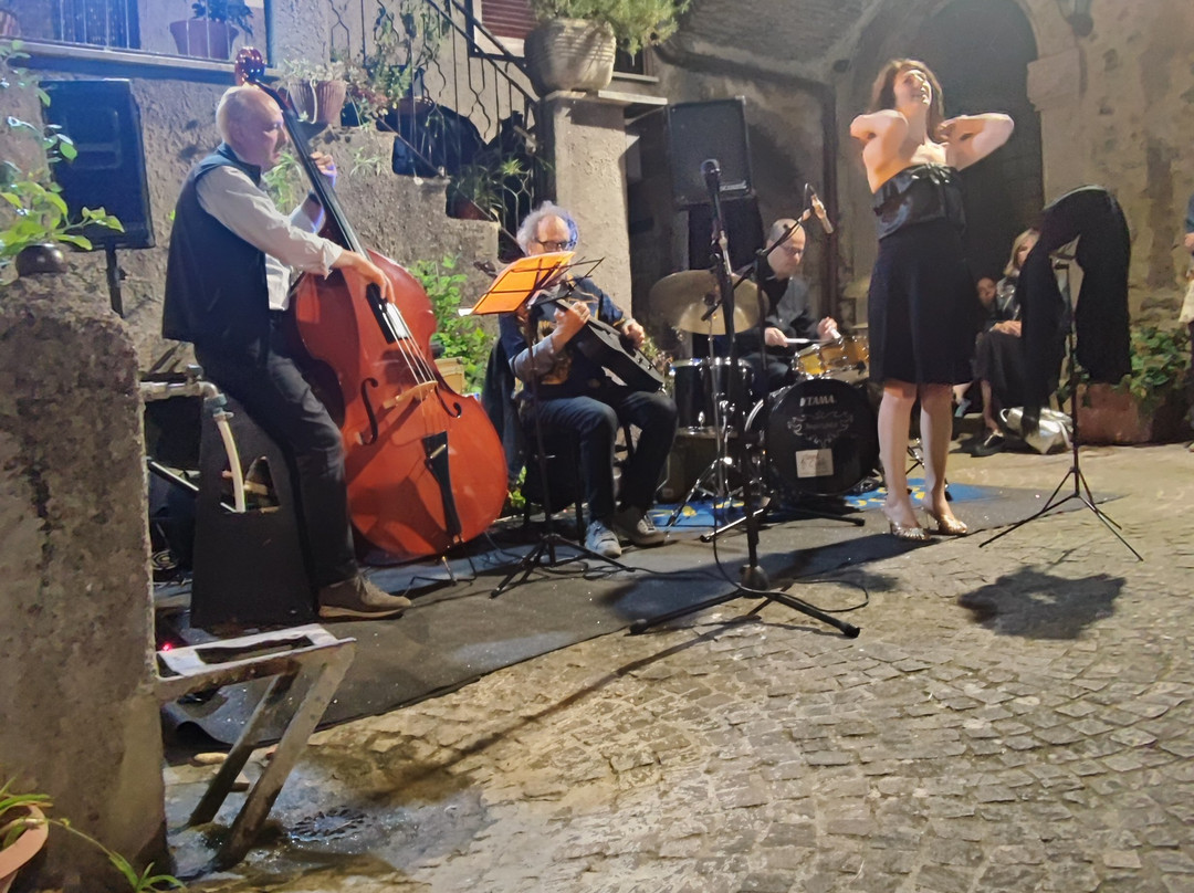 Bocchignano Borgo Medievale景点图片