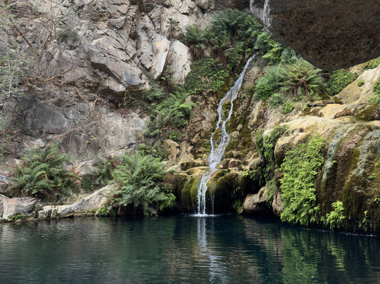 Salalah Explore Adventure Trips