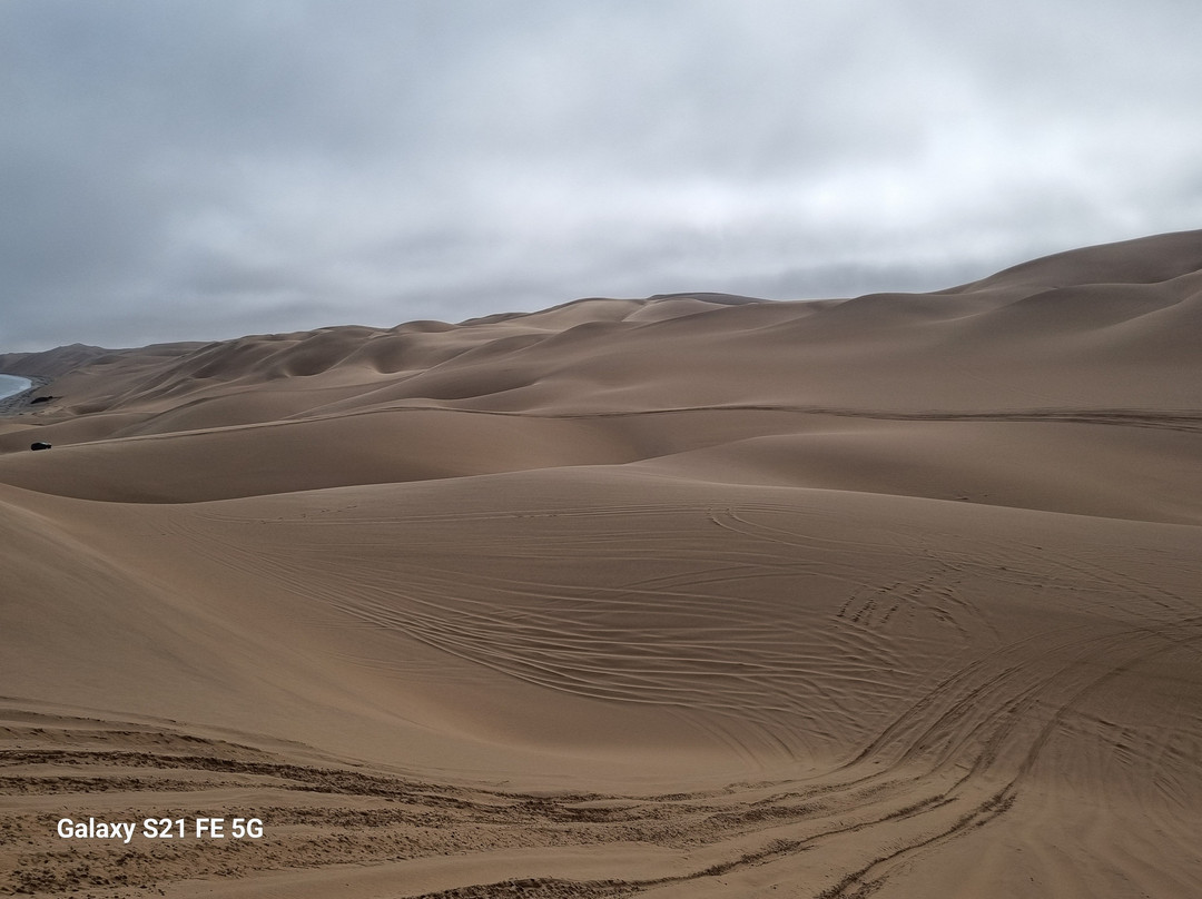 iVenture Sandwich Harbor Tours & Guides-华维斯湾必去景点