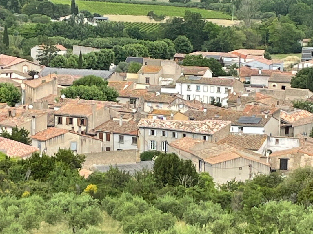 Le Patio Des Senteurs主图
