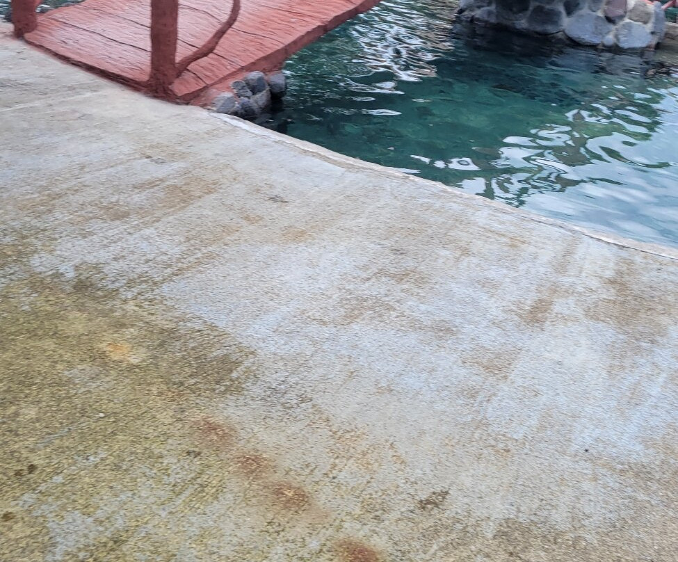 Kalambu Hot Springs-福德圣卡洛斯必去景点