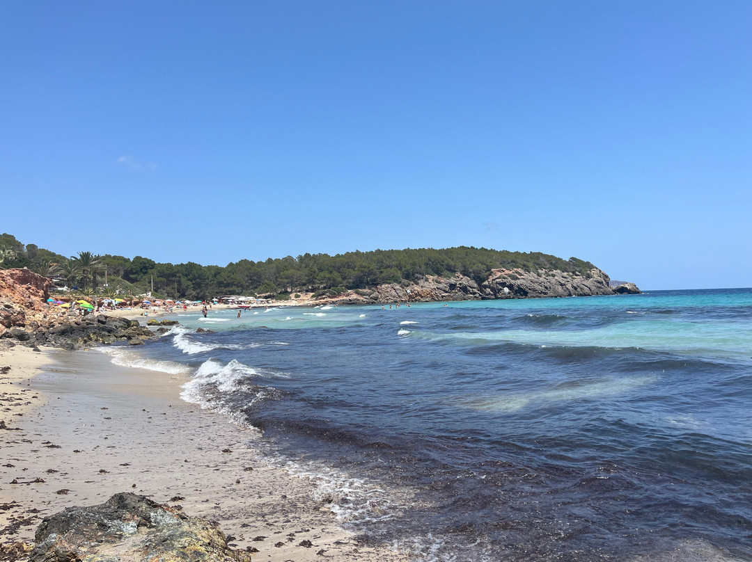 Cala Nova景点图片