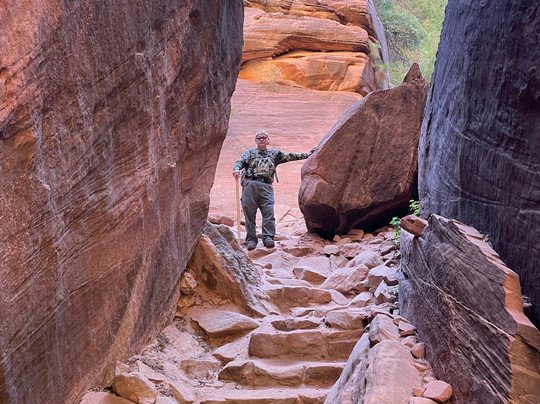 Tyler Inn at Zion主图