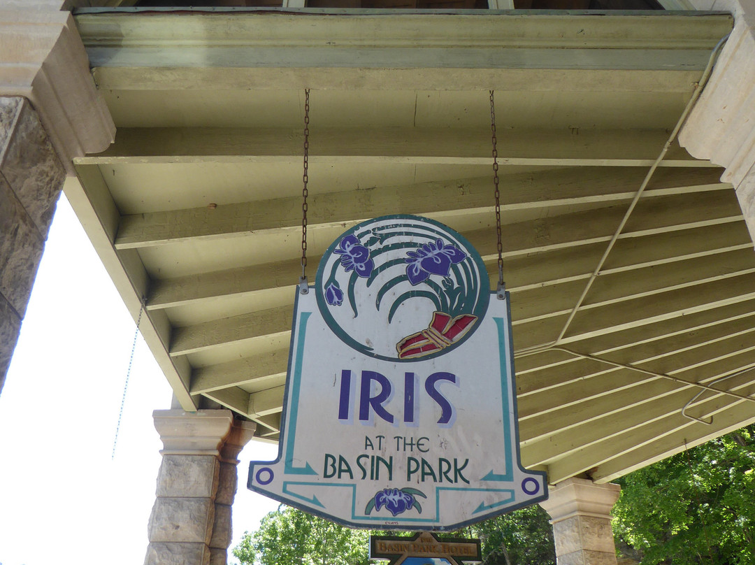Iris at the Basin Park-尤里卡斯普林斯必去景点