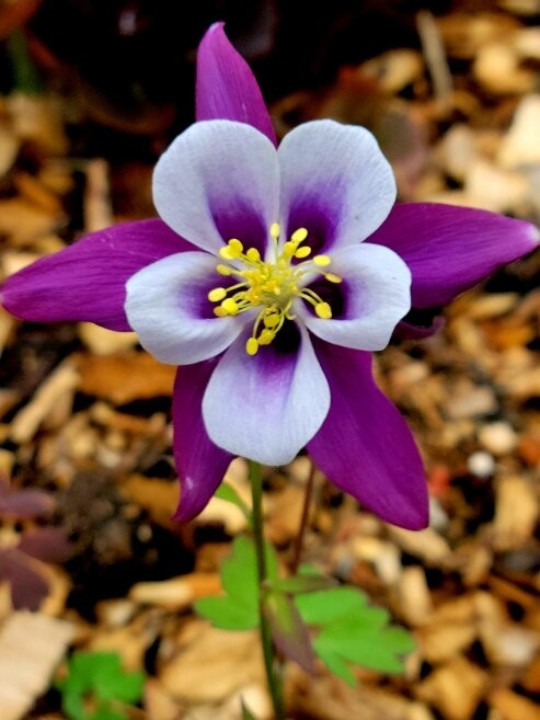 Riding Mountain National Park-Wasagaming必去景点