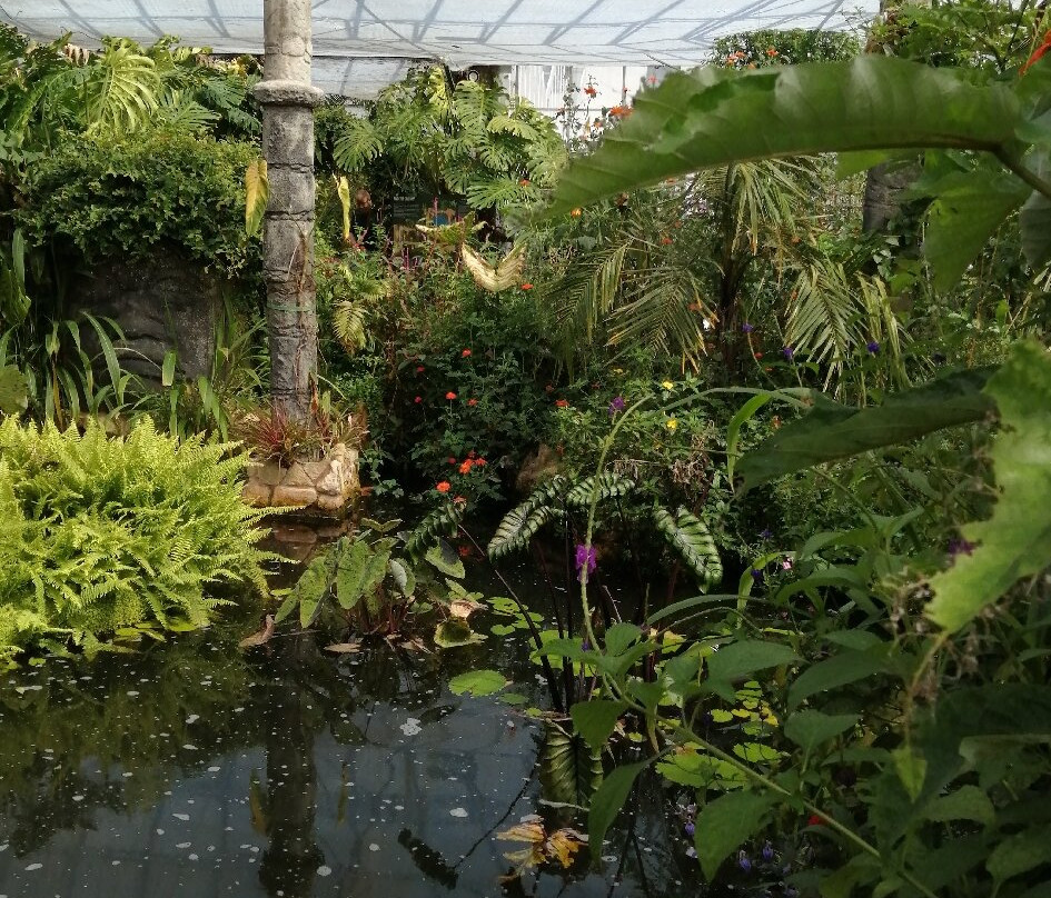 Stratford Butterfly Farm-埃文河畔斯特拉特福必去景点