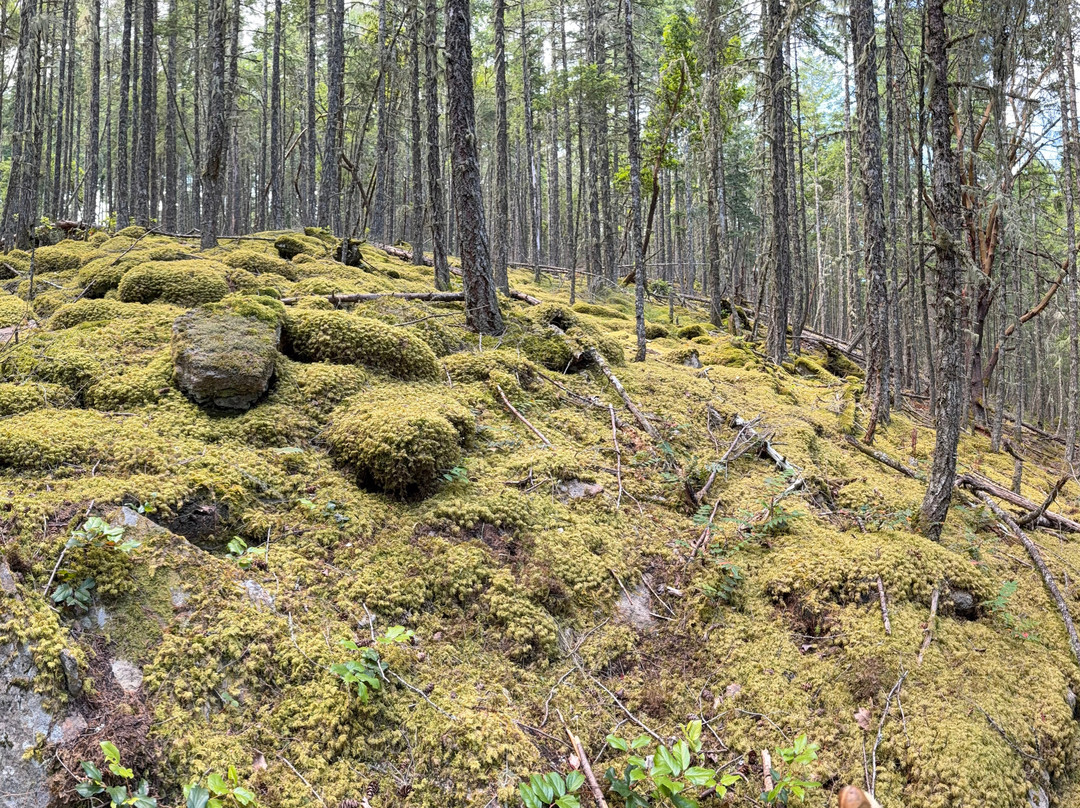 Mt Erskine Provincial Park-盐泉岛必去景点
