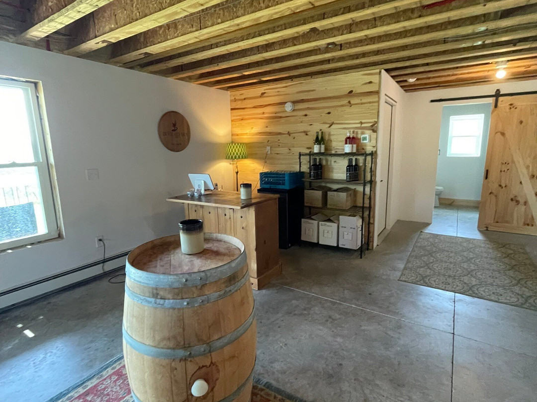 Divided Sky Vineyard-Hammondsport必去景点