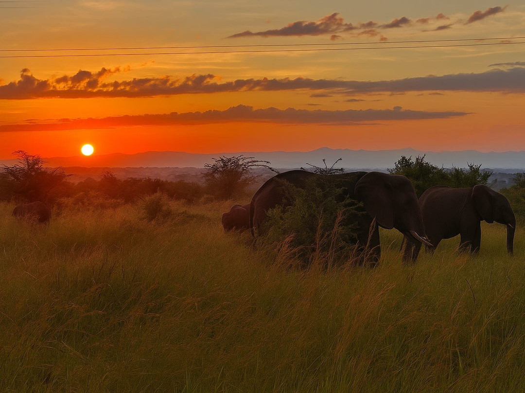 Afrika Panthera Safaris-Fort Portal必去景点