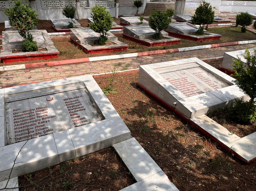 Türk Şehitliği-梅尔辛必去景点