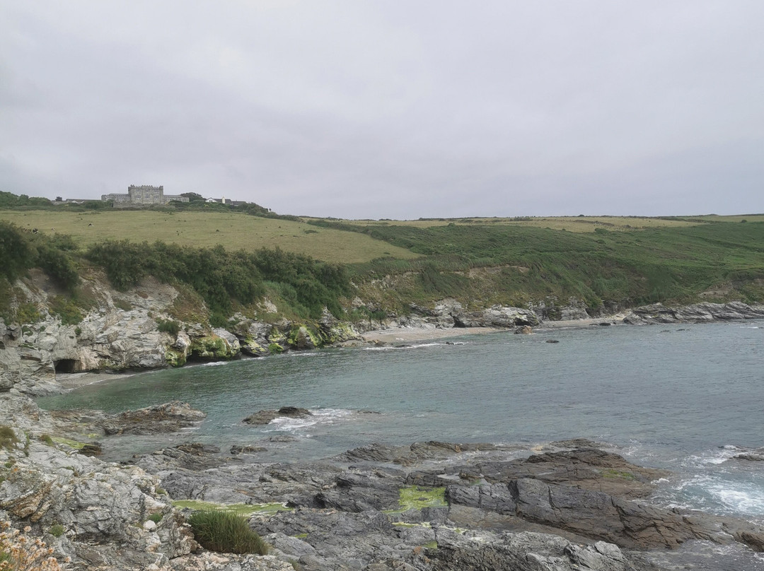 Beare's Den Campsite