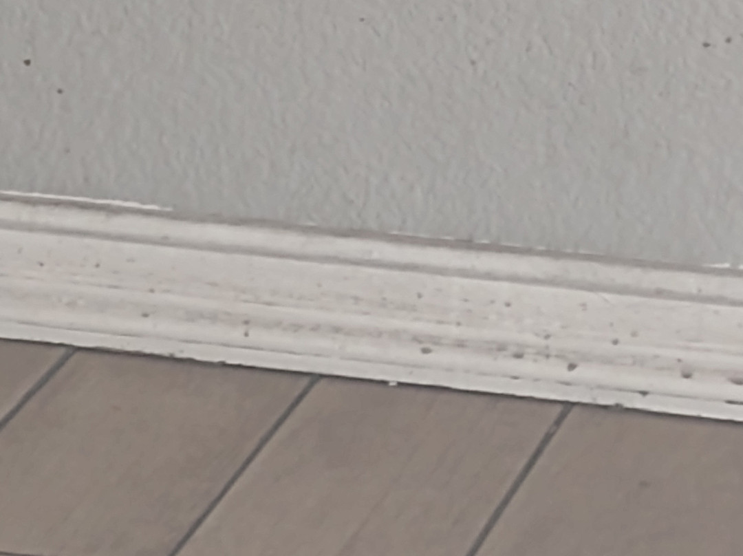 贝斯特韦斯特约书亚树国家公园花园酒店主图