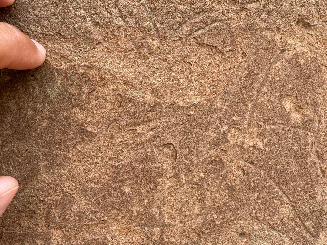 Bodegas Sers-Cofita必去景点