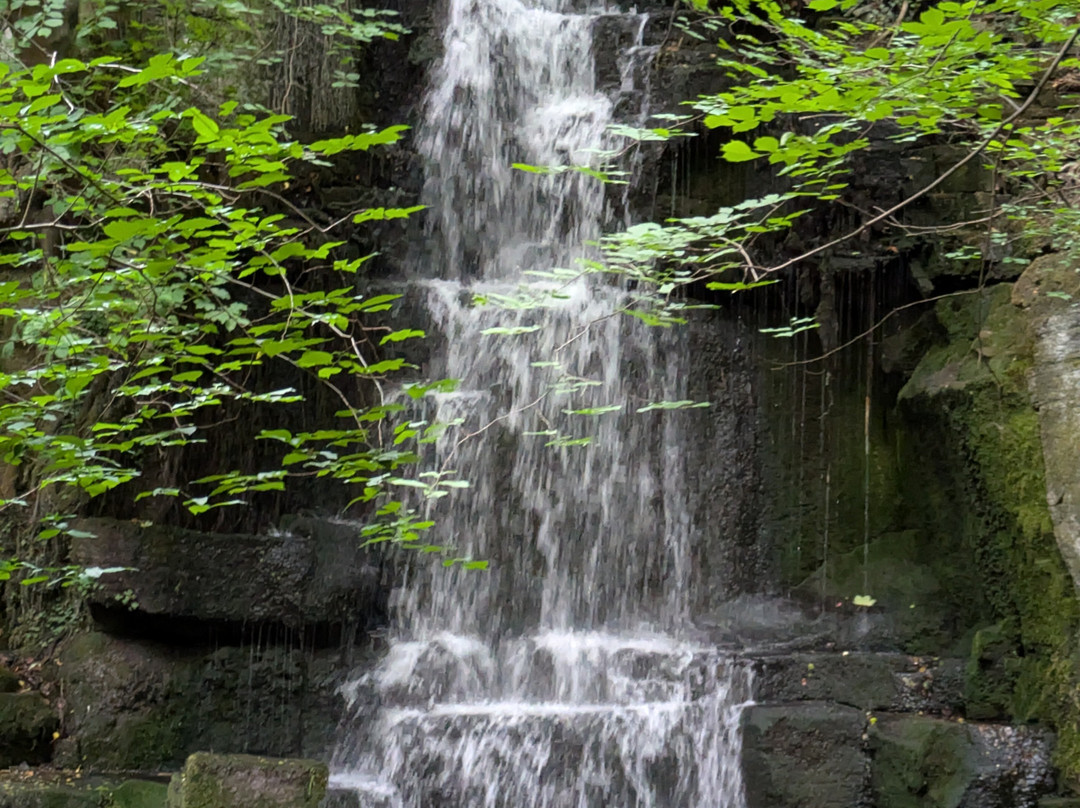 Harmby Waterfall-莱伯恩必去景点