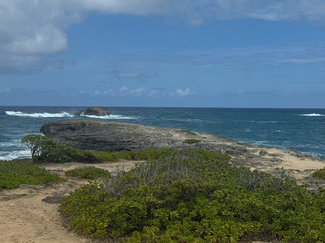 Laie Point State Wayside Park-拉叶必去景点