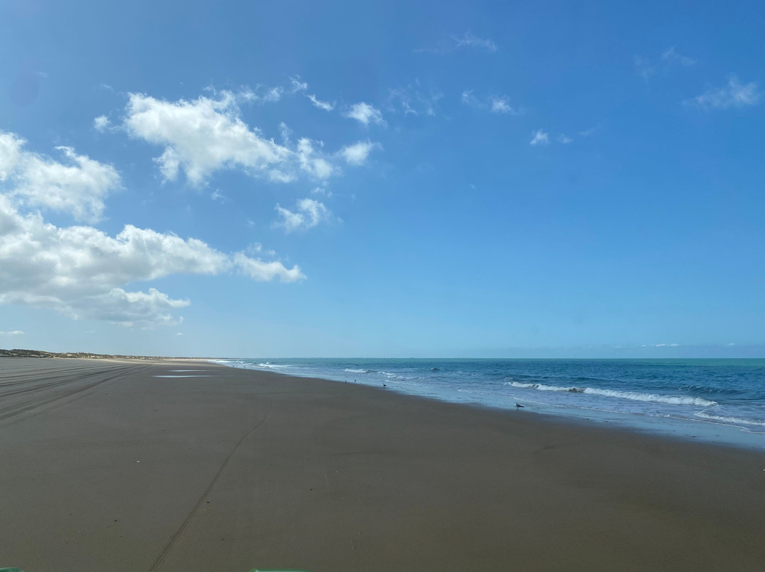 Donana Visitas-El Rocio必去景点